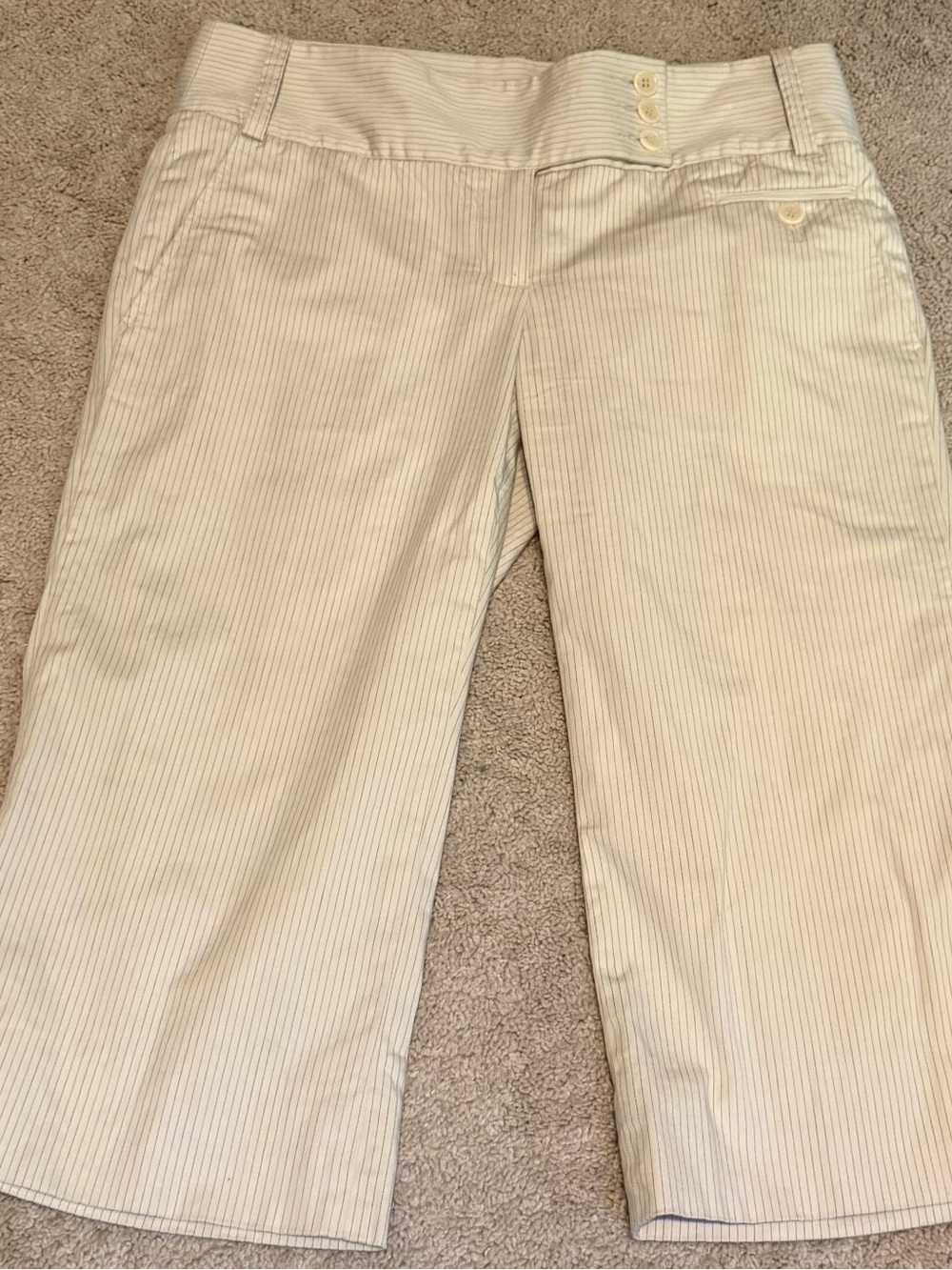 BCBG MaxAzria Women's Cream Pinstripe Wide-Leg Pants